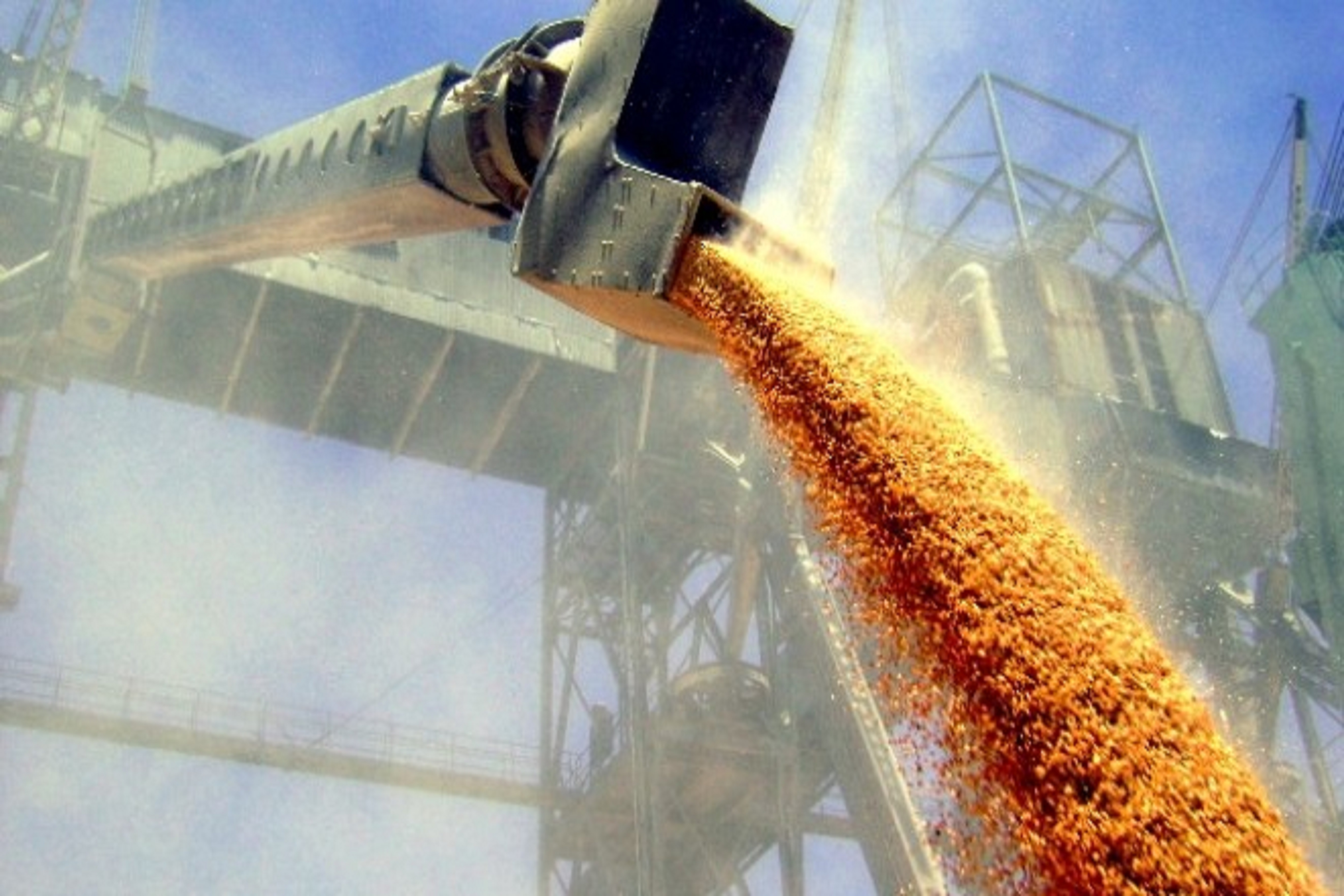 grains
